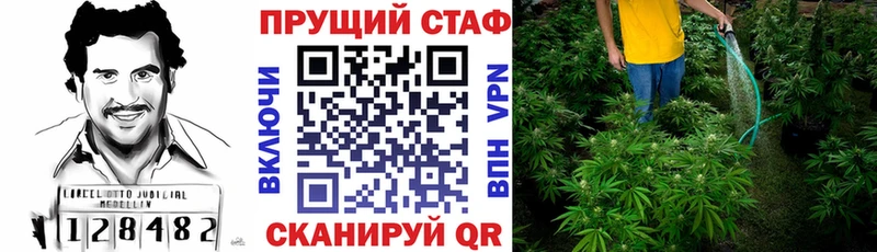 Где продают наркотики Алейск Кетамин  APVP  Cocaine  Метадон  Меф  ГАШИШ  Бошки Шишки 